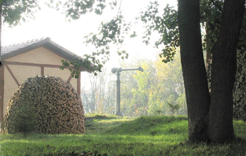 Apartamenty Carskie Białowieża Eksteriør bilde